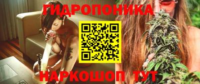 не бодяженный Сланцы