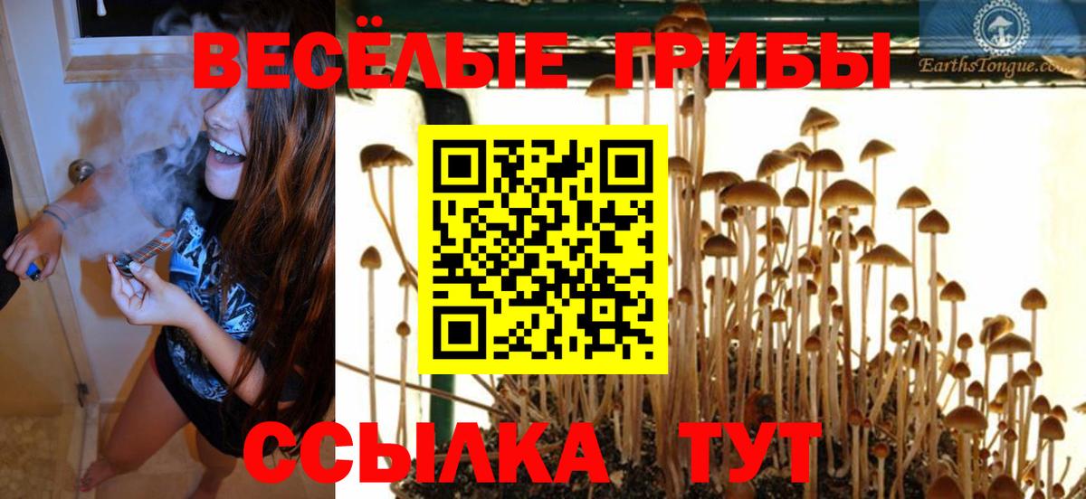 Галлюциногенные грибы мухоморы  Псилоцибиновые грибы Psilocybe  Вход с VPN  Обнинск 